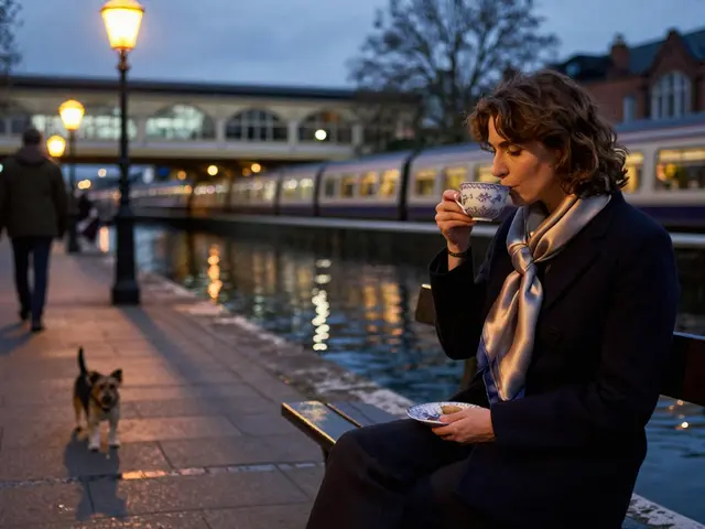 Why Paddington Escorts Are the Talk of the Town